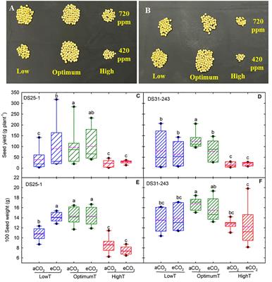 Temperature and elevated CO2 alter soybean seed yield and quality, exhibiting transgenerational effects on seedling emergence and vigor